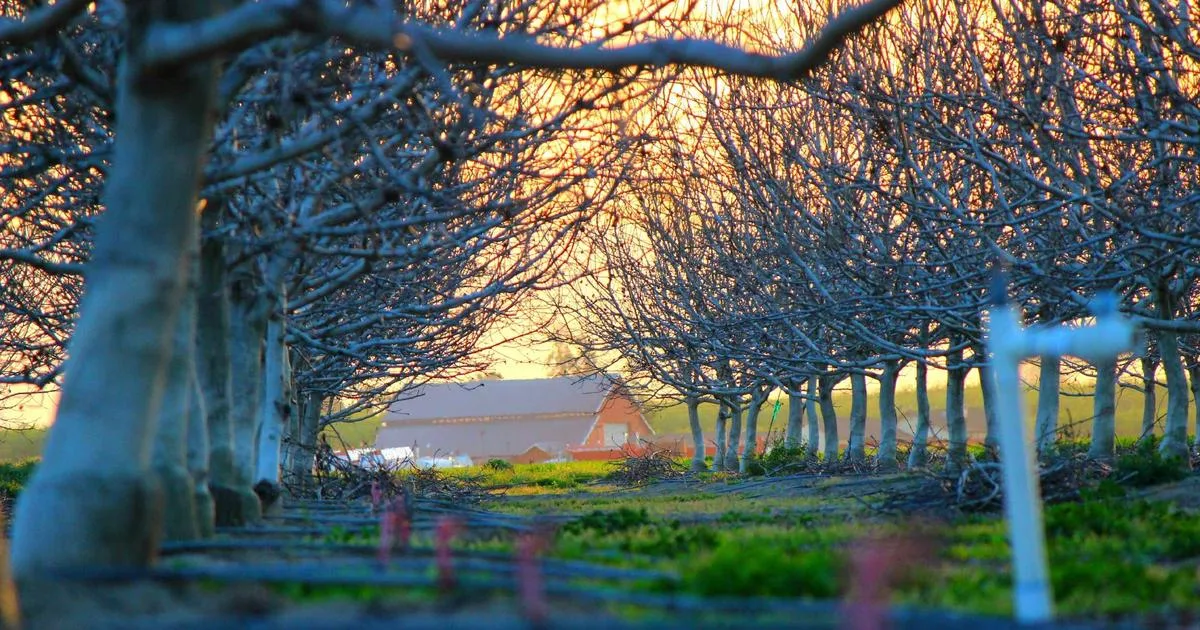 Stampa biglietti da visita professionali a Lecce: formati, materiali e prezzi