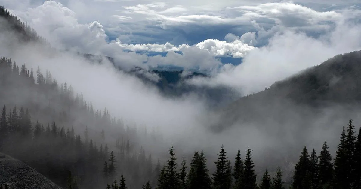 Restyling del logo aziendale: quando farlo e come non perdere il brand equity